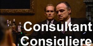 Consultant as Consigliere