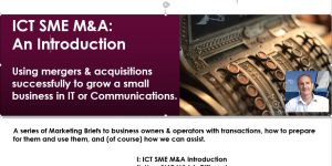 Using M&A to Grow an ICT SME (ICTSC'17)